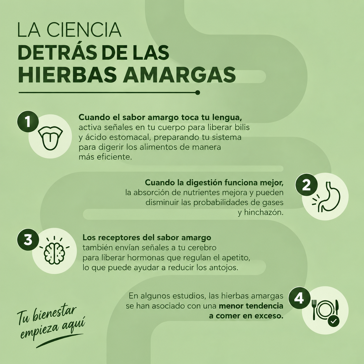 BITTER DROPS™ | Gotas Herbales para Digestión y Control de Peso