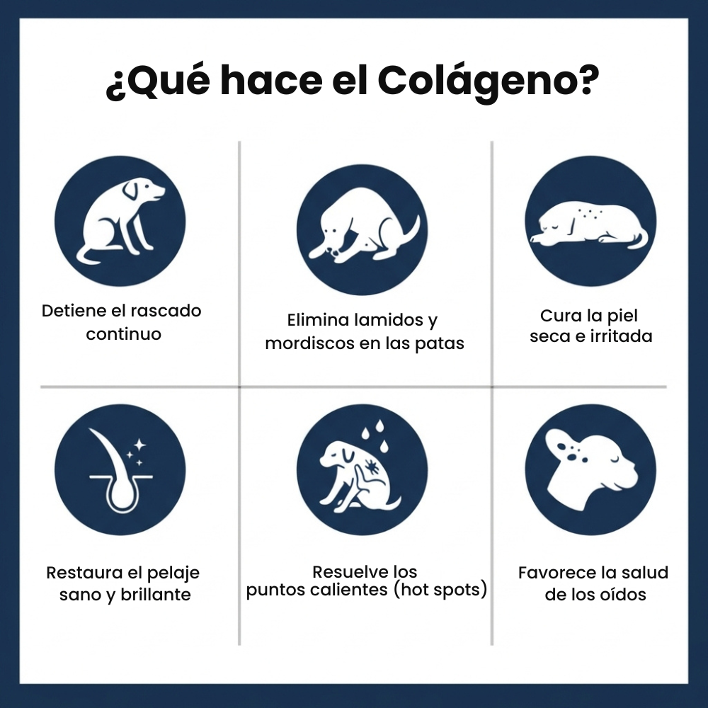 Pawlity® Colágeno Líquido Premium