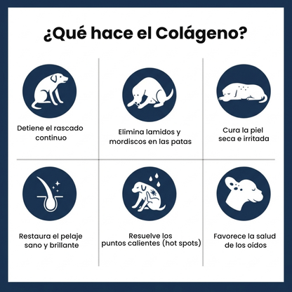 Pawlity® Colágeno Líquido Premium