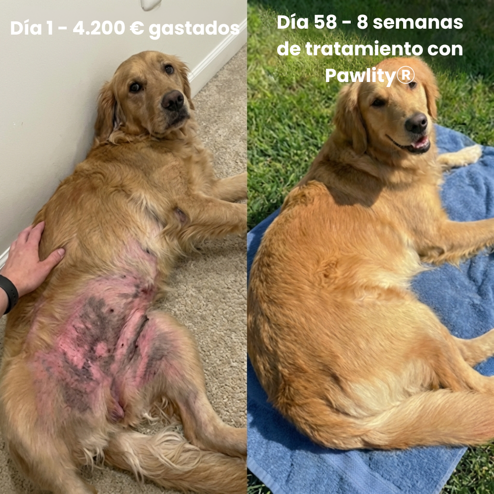 Pawlity® Colágeno Líquido Premium