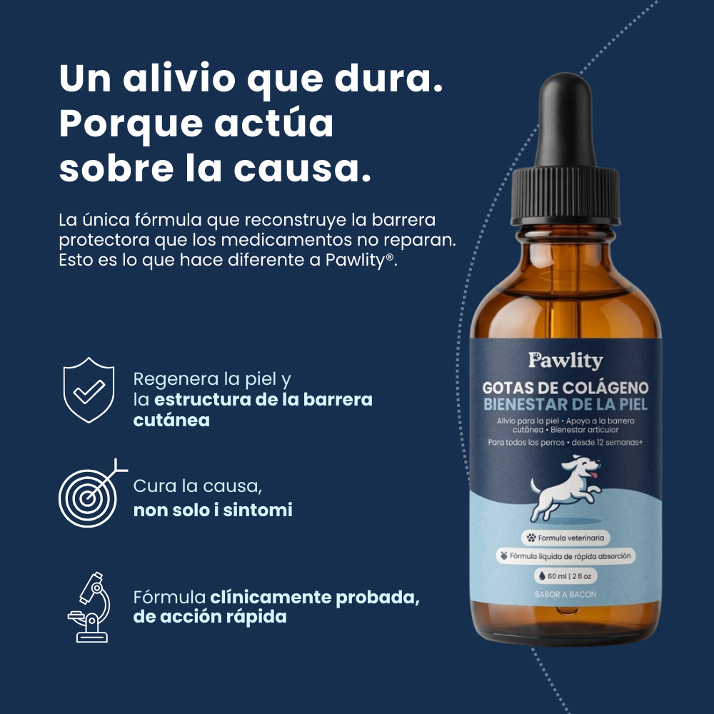 Pawlity® Colágeno Líquido Premium