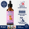 Bloom Triple Collagen