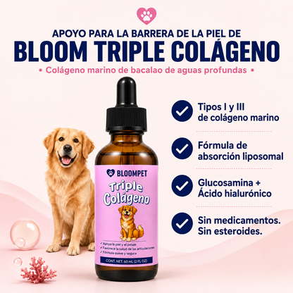 Bloom Triple Collagen