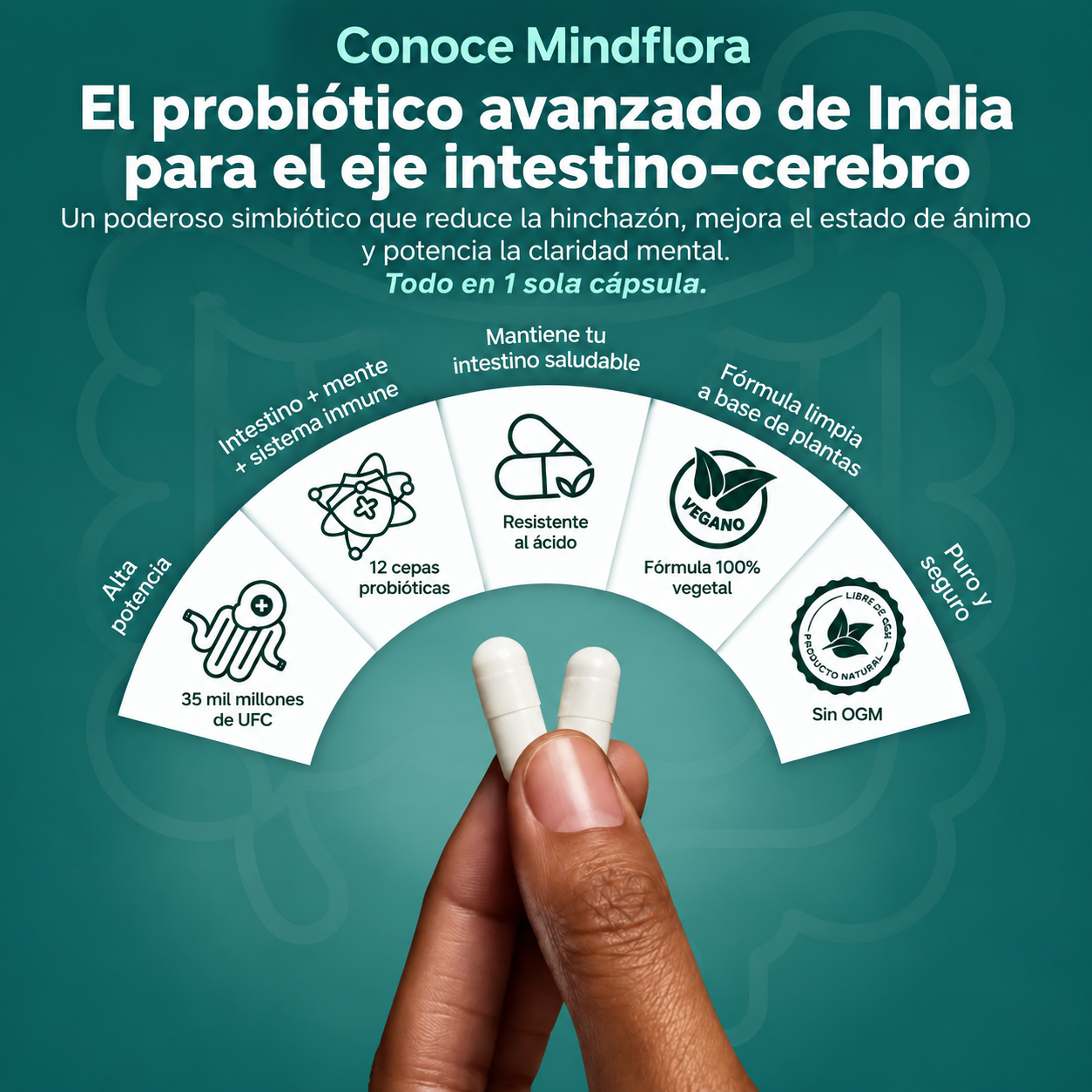 MINDFLORA® 3 EN 1 | PSICOBIÓTICO – Digestión, Hinchazón y Bienestar Intestinal
