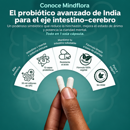 MINDFLORA® 3 EN 1 | PSICOBIÓTICO – Digestión, Hinchazón y Bienestar Intestinal