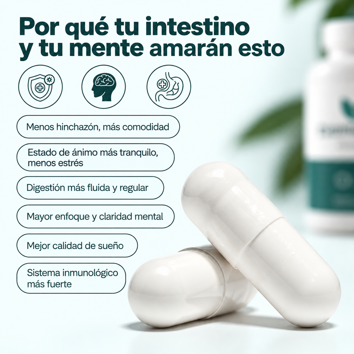 MINDFLORA® 3 EN 1 | PSICOBIÓTICO – Digestión, Hinchazón y Bienestar Intestinal