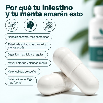 MINDFLORA® 3 EN 1 | PSICOBIÓTICO – Digestión, Hinchazón y Bienestar Intestinal
