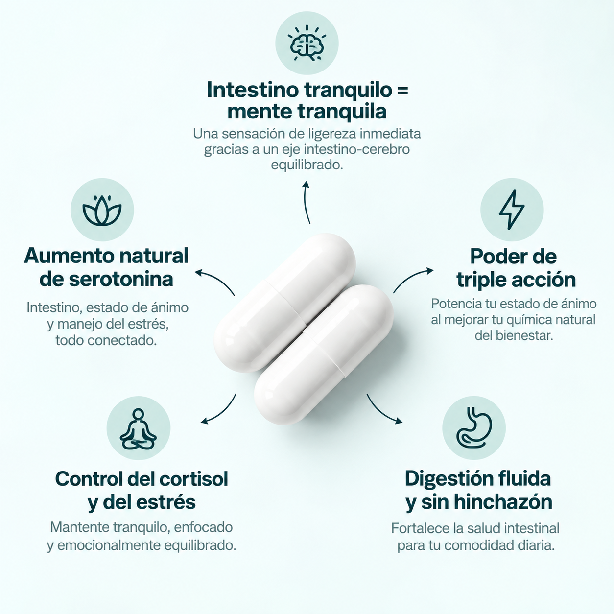 MINDFLORA® 3 EN 1 | PSICOBIÓTICO – Digestión, Hinchazón y Bienestar Intestinal