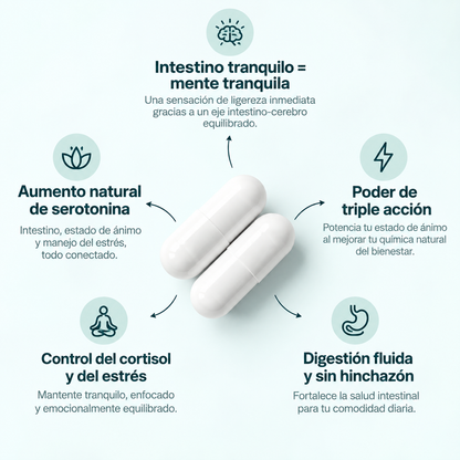 MINDFLORA® 3 EN 1 | PSICOBIÓTICO – Digestión, Hinchazón y Bienestar Intestinal